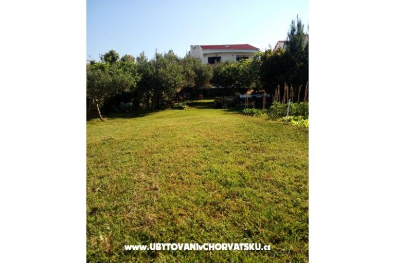 Apartments Devcic DZ – photo 6