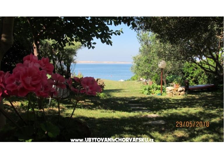 Apartments Devcic DZ – photo 7
