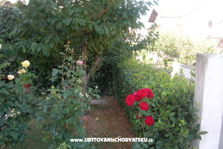 Apartments Ravkin – photo 9