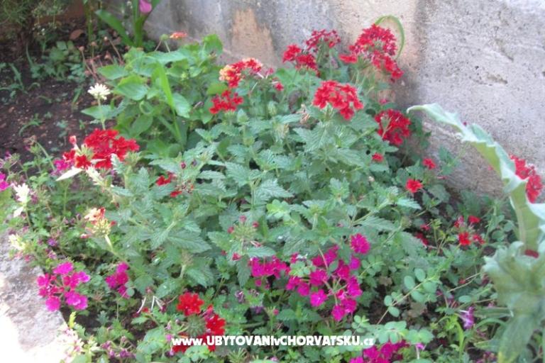 Apartments Ravkin – photo 10