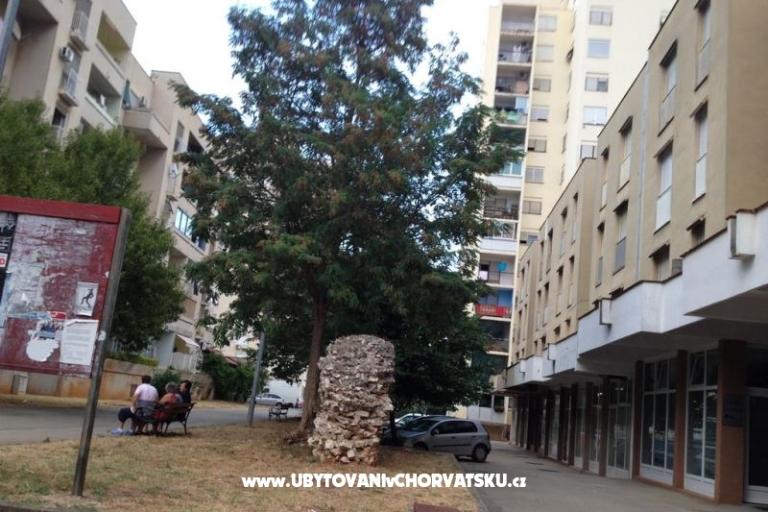 Apartments Mikulić – photo 13
