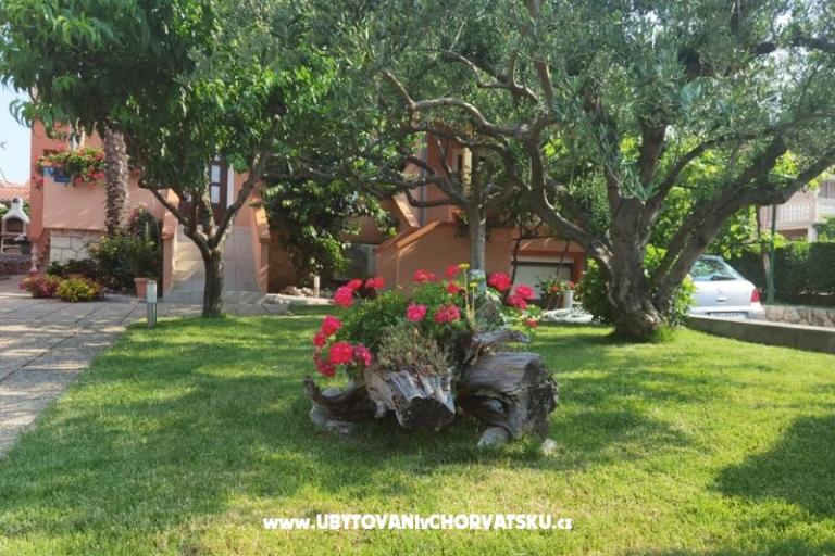 Apartments Riva – photo 3