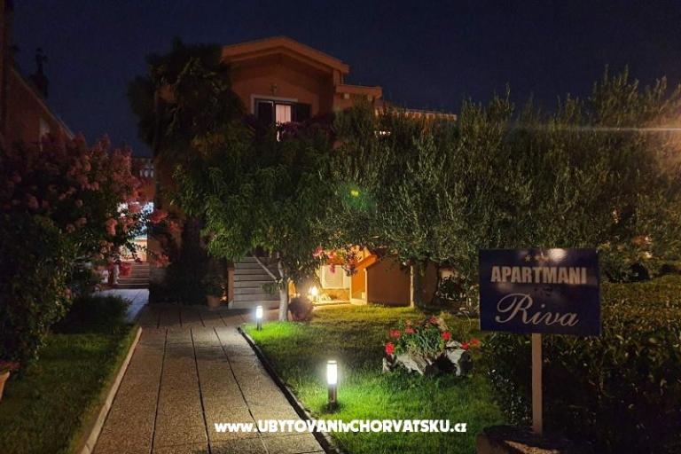 Apartments Riva – photo 6