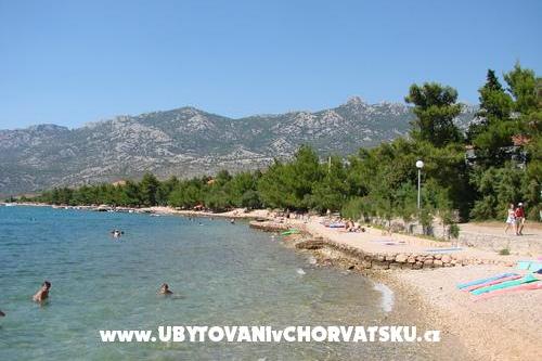 Apartmentts  Rovanjska - ŽELJKA – photo 2