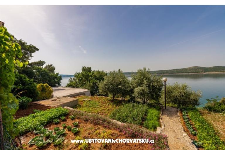 Apartments Tunjarica – photo 16