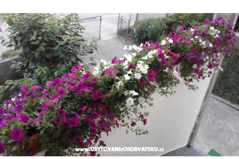 Apartments  Nina  – photo 11