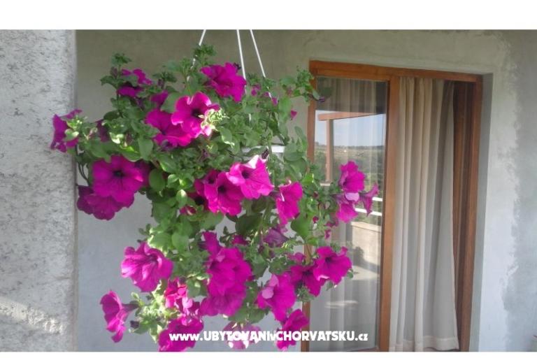 Apartments  Nina  – photo 8