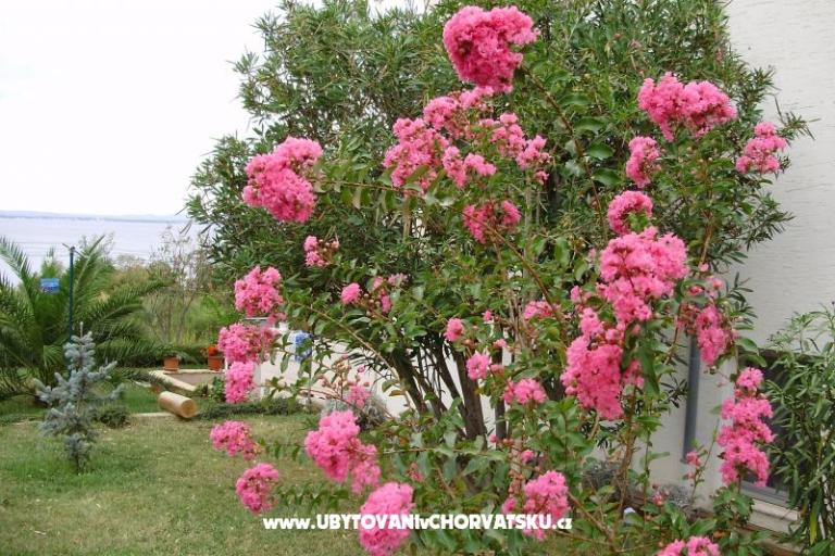 Apartments Marija – photo 10