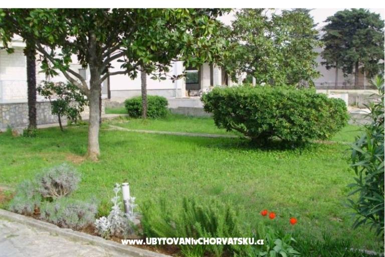 Apartment Andrijana – photo 11