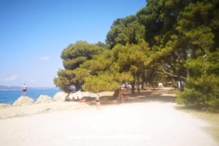 Apartments Asea Zadar – photo 5