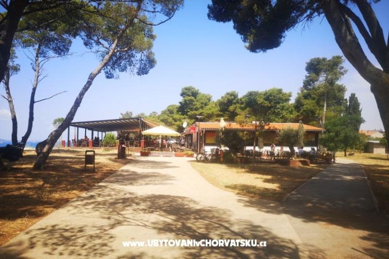 Apartments Asea Zadar – photo 8