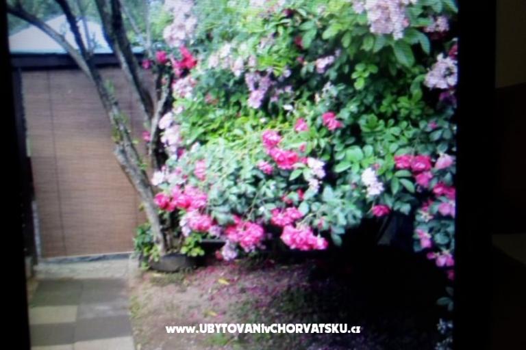 Apartments Floresita – photo 16
