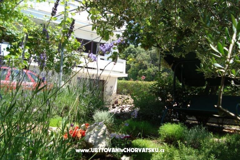 Apartments ISA – photo 13