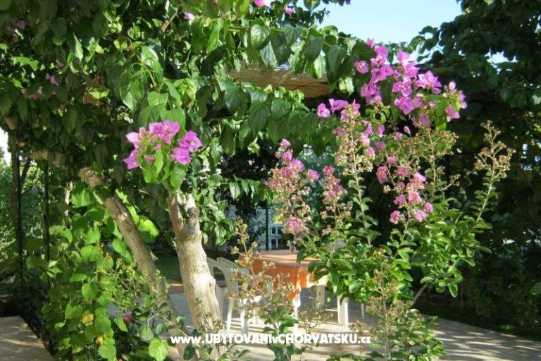Apartments Maja – photo 14