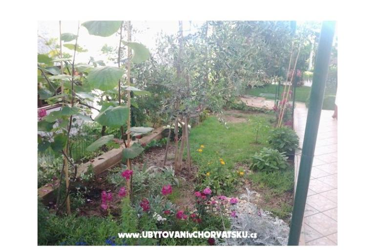 Apartments Maja – photo 15