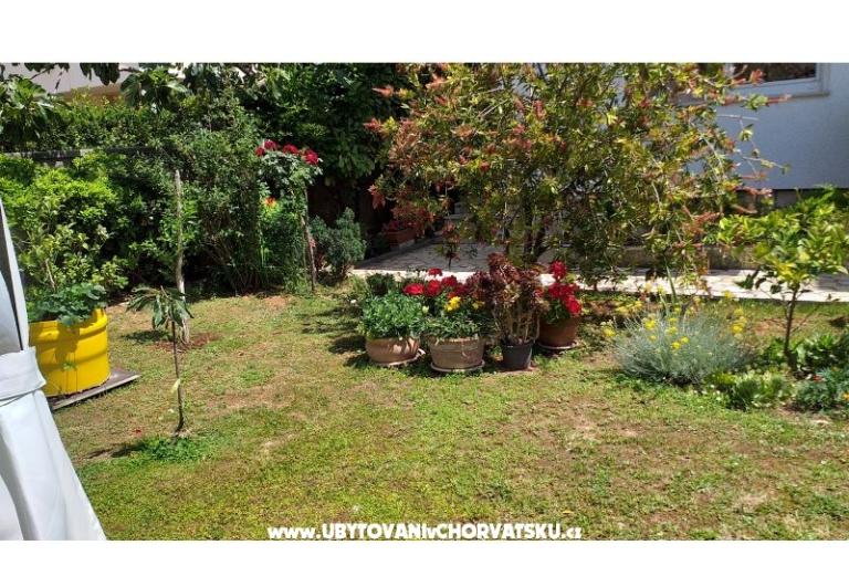 Apartments Manda – photo 17