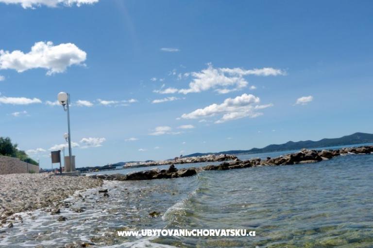 Apartments Peric Diklo – photo 6