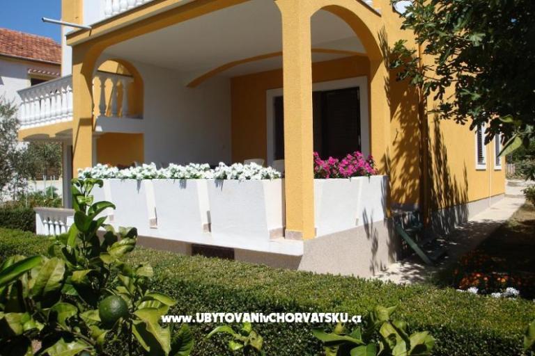 Apartments Antonia – photo 2