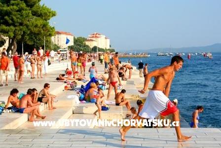 Centar – photo 7