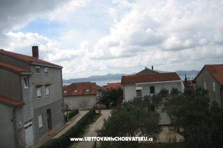 Elvis - Zadar – photo 15