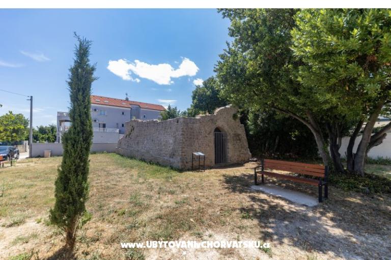 Furia Puntamika – photo 8