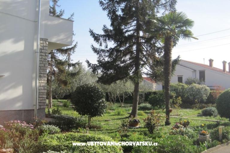 Apartment Irena – photo 10