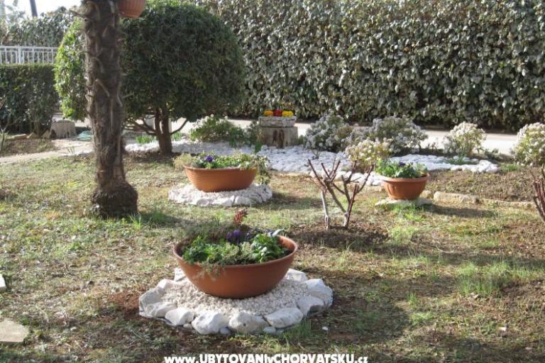 Apartment Irena – photo 12