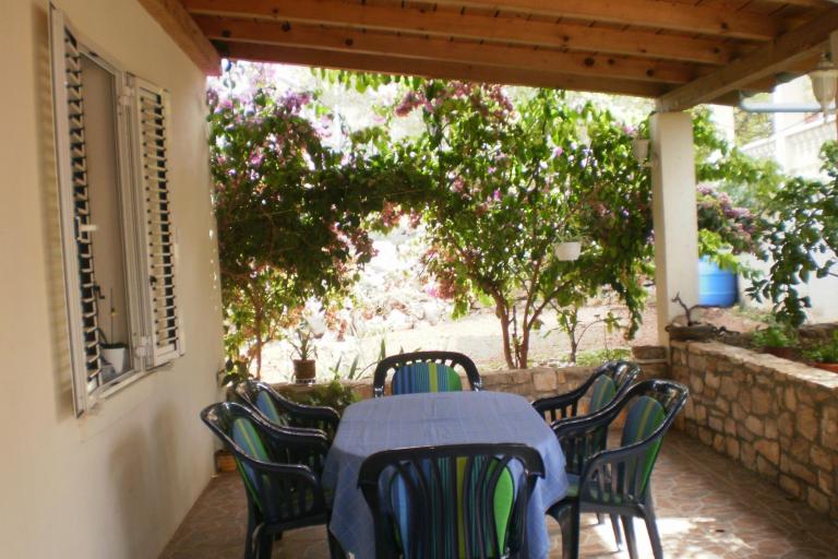 House Branka – photo 2