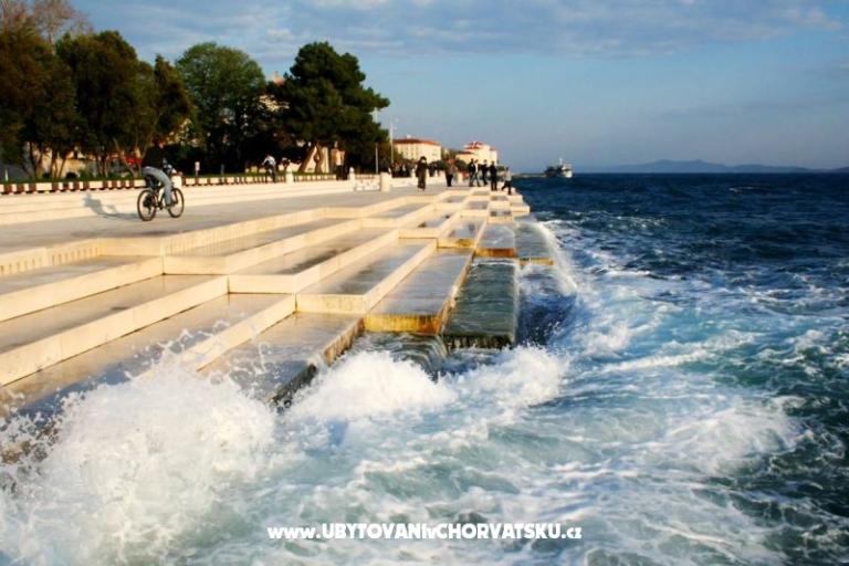 Mobilna kućica Sara – photo 8