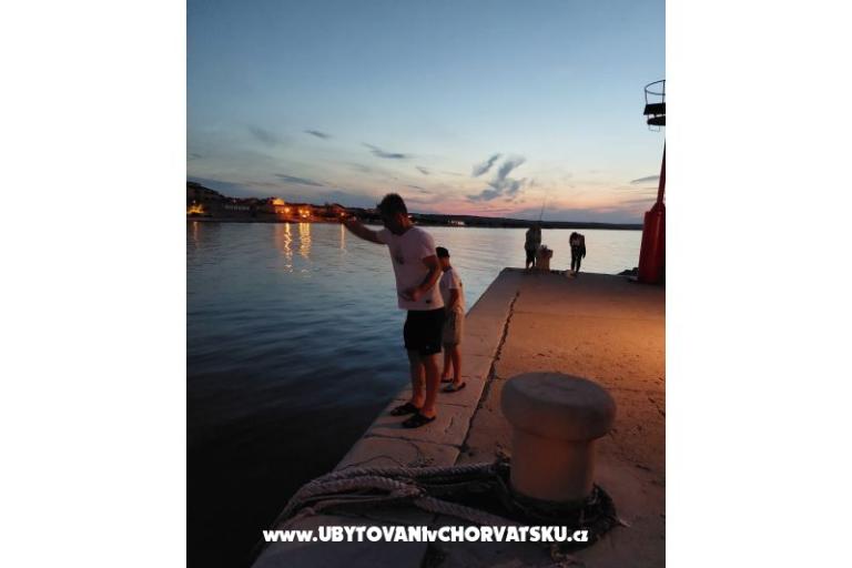 Apartments Roko  – photo 7