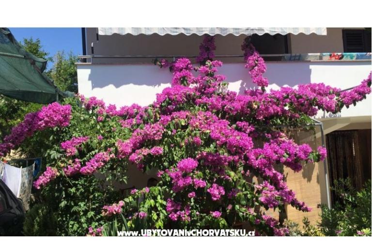 Lucija apartmány – photo 2