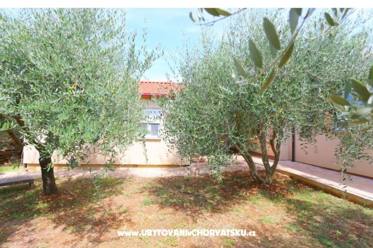 Snježana – photo 12