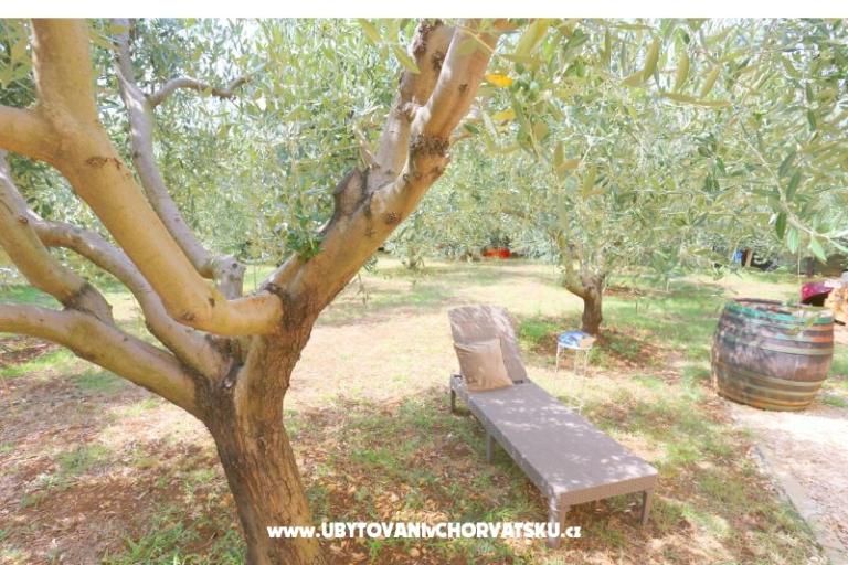 Snježana – photo 13