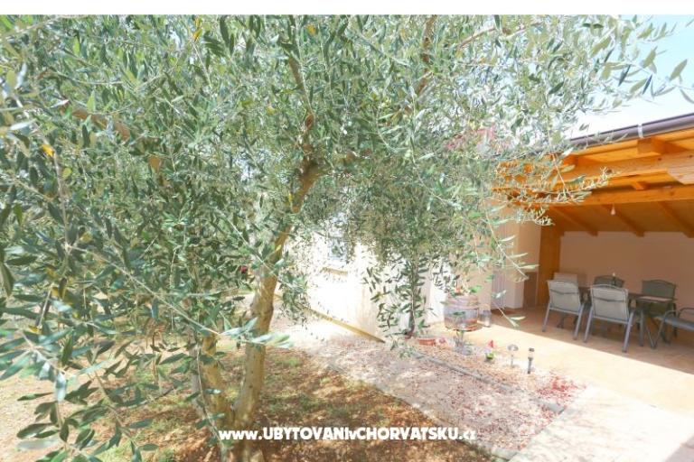 Snježana – photo 16