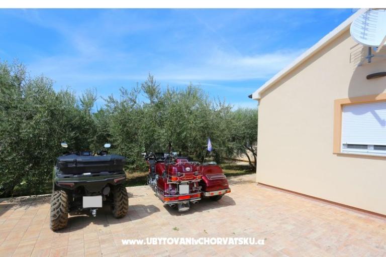 Snježana – photo 17