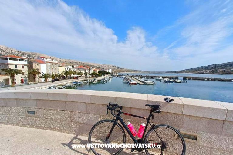 Snježana – photo 21