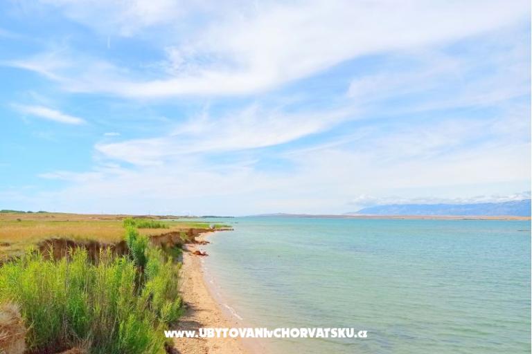 Snježana – photo 22