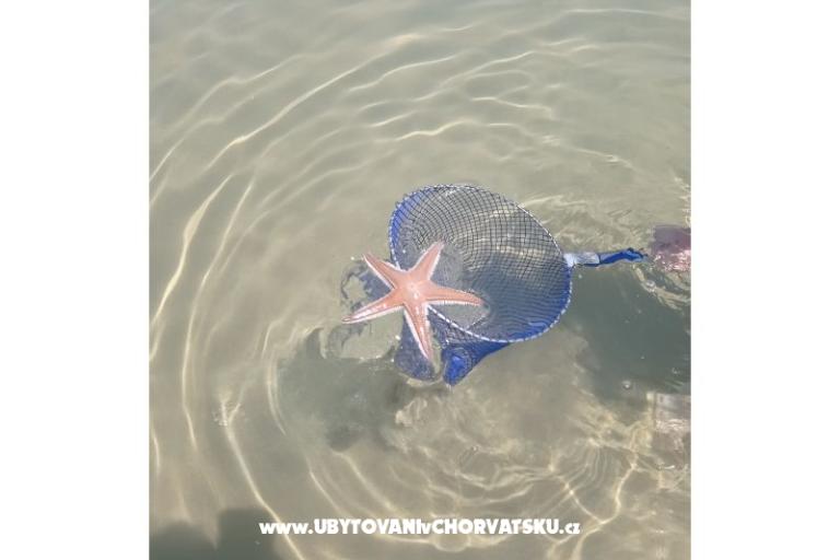 Snježana – photo 23