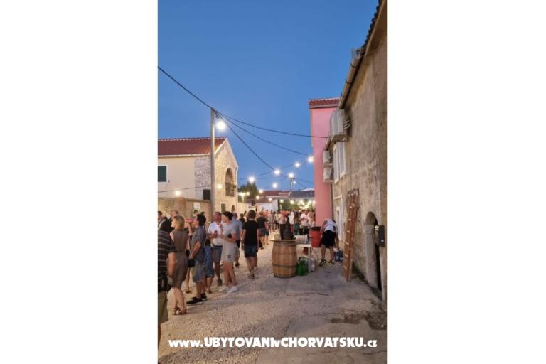 Snježana – photo 27