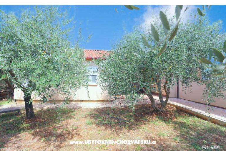 Snježana – photo 3