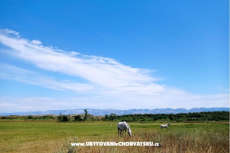 Snježana – photo 32