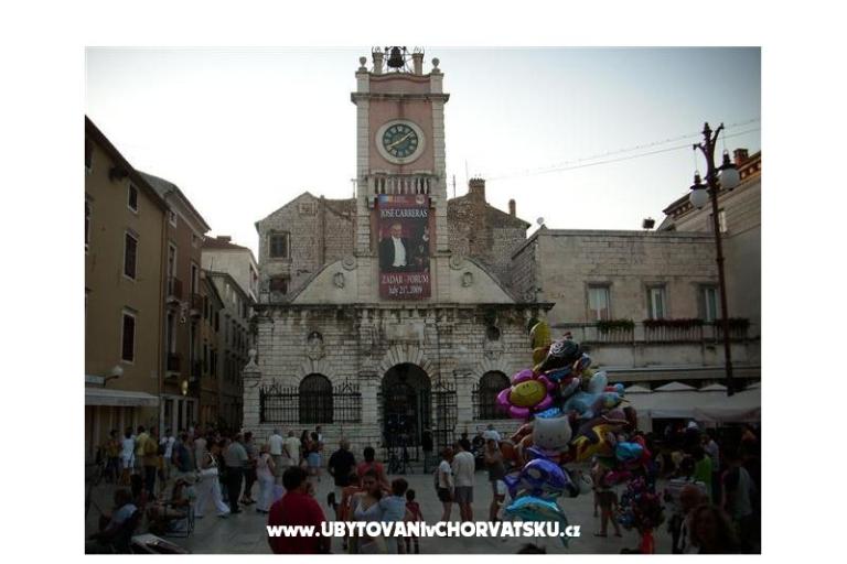 Stan Zadar – photo 11