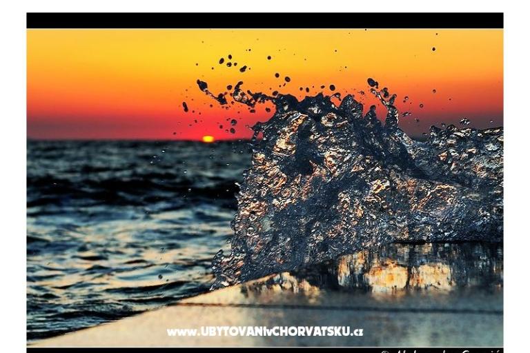 Val i Vital – photo 17