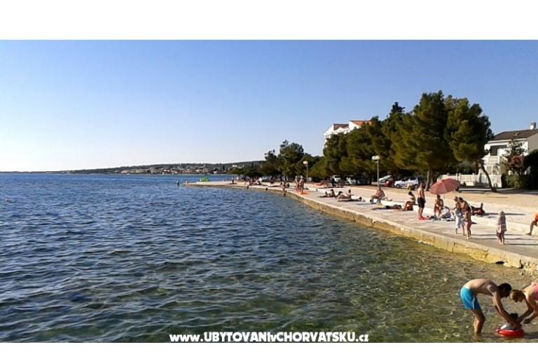Veronika – photo 6