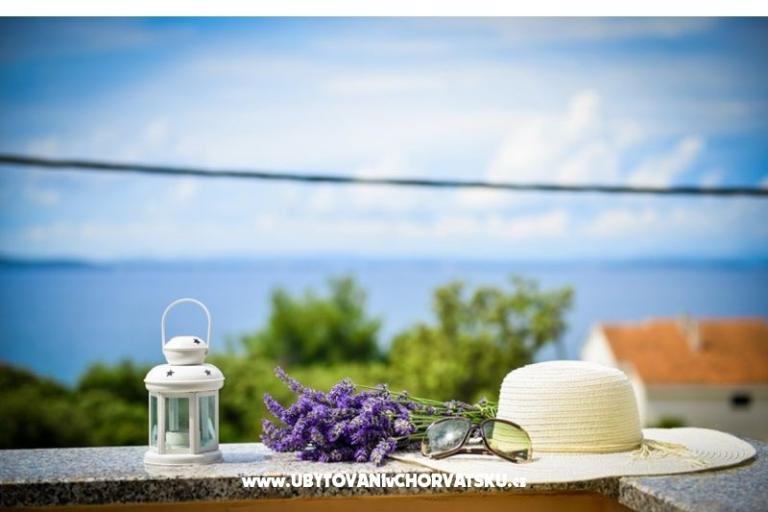 Villa IBIS – photo 5