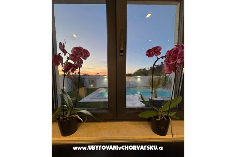 Villa Providenca – photo 32