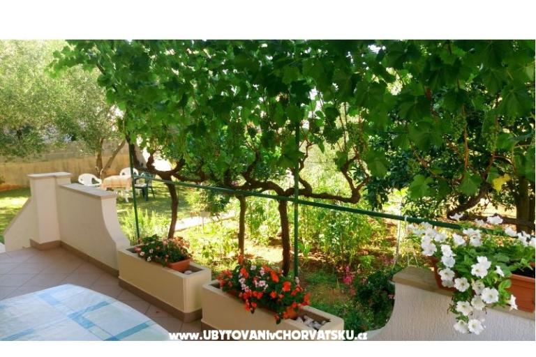 Villa Rosemarino – photo 11
