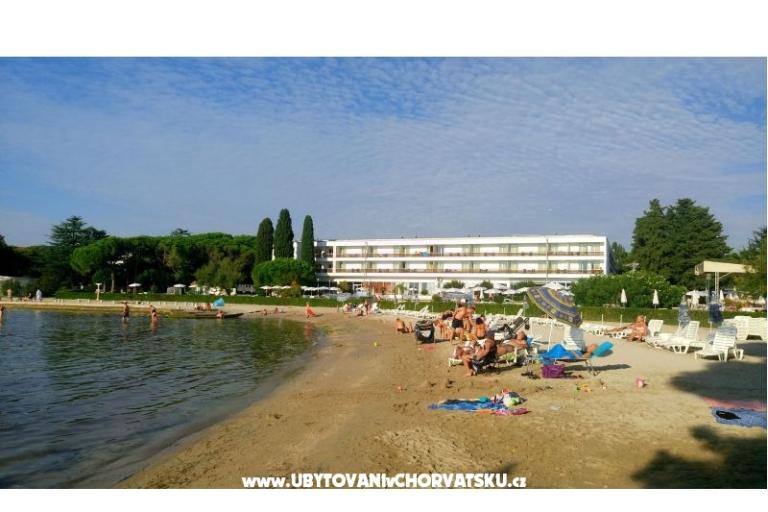 Villa Rosemarino – photo 15