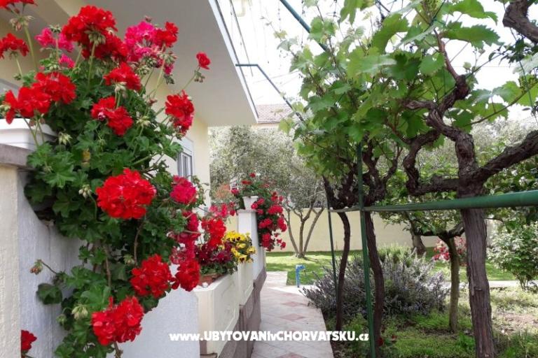 Villa Rosemarino – photo 4