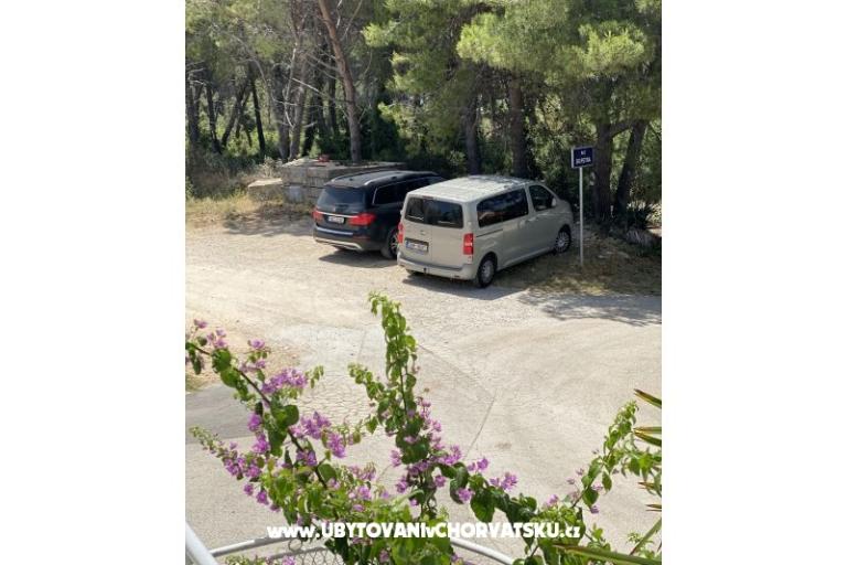 Villa Teresa – photo 17